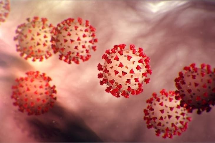 Coronavirus (COVID-19) Update about covid-19